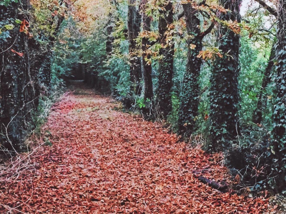 Gites Les Demeures De Valette Azay-le-Brule Bagian luar foto